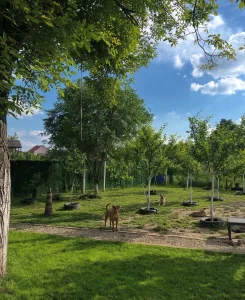 Cuvanje pasa na duzi period