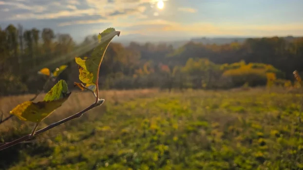 Valjevo, Rađevo Selo, 2.0 dvosobna, 104 m²