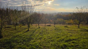 Valjevo, Rađevo Selo, 2.0 dvosobna, 104 m²