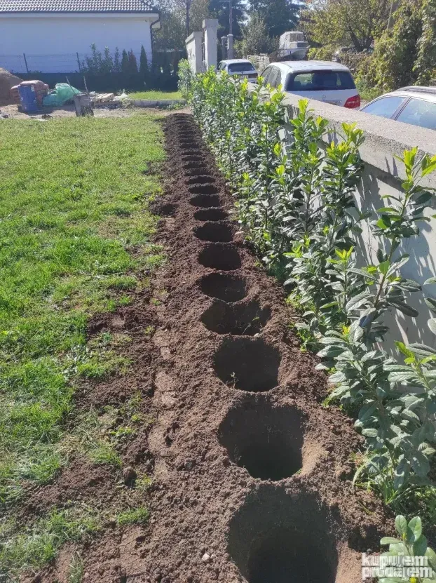 Usluzno busenje rupa u zemlji