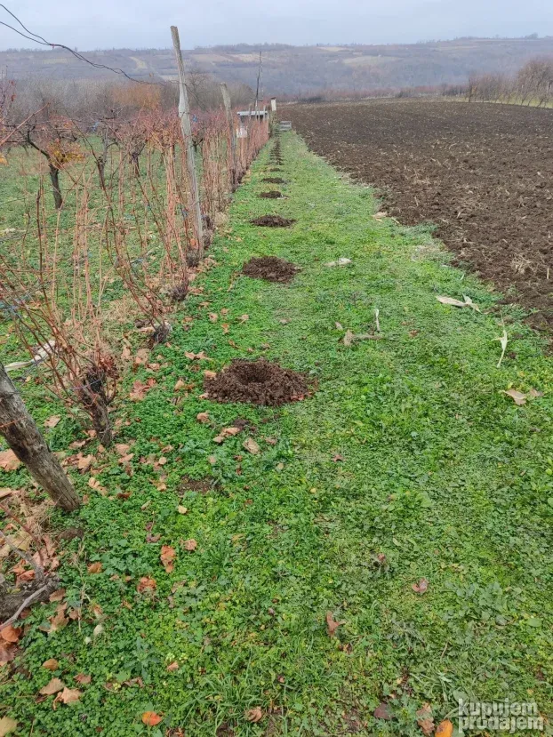 Usluzno busenje rupa u zemlji