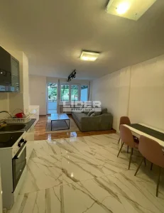 Bulevar Arsenija Čarnojevića, Arena, 2.0 dvosoban, 62 m²