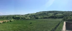 470 ari na Kosmaju sa dva izvora vode Sopot i Bojtaš