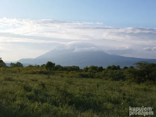 Hektar i po do magistrale + pogled na Rtanj