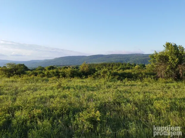 Hektar i po do magistrale + pogled na Rtanj