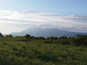 Hektar i po do magistrale + pogled na Rtanj