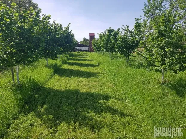 Košenje trave / dvorišta (Opština Barajevo, Kosmaj)