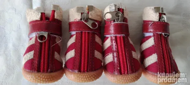 obuća za pse
