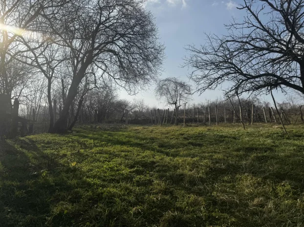 Lapovo, Lapovo, 4.0 četvorosoban, 113 m²