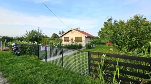 Beška, Inđija