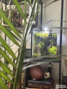 Dennerle 20L akvarijum formiran