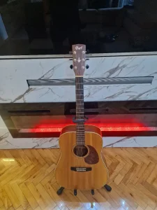 Cort EARTHH-100