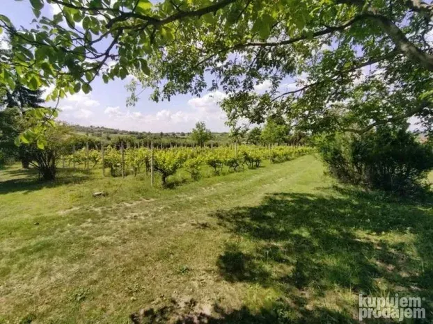 Odlična investicija, Čerević-984m2!