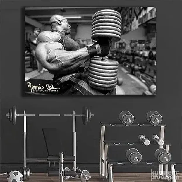 Slike,Posteri Fitnes,Fitness,Gym,Teretana Dimenzija po želji ...