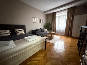 Millenium apartments City Center Niš