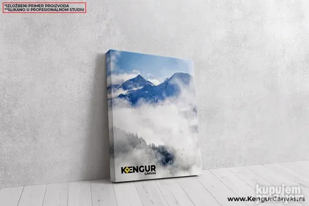 Slike na Canvasu - Slika na platnu - Kengur Canvas 3068 pr5