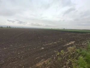 - Poljoprivredno zemljište - Sajlovo 36143m2