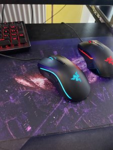 Razer Mamba tournament edition 16000 DPI RGB 5G vrhunski mis