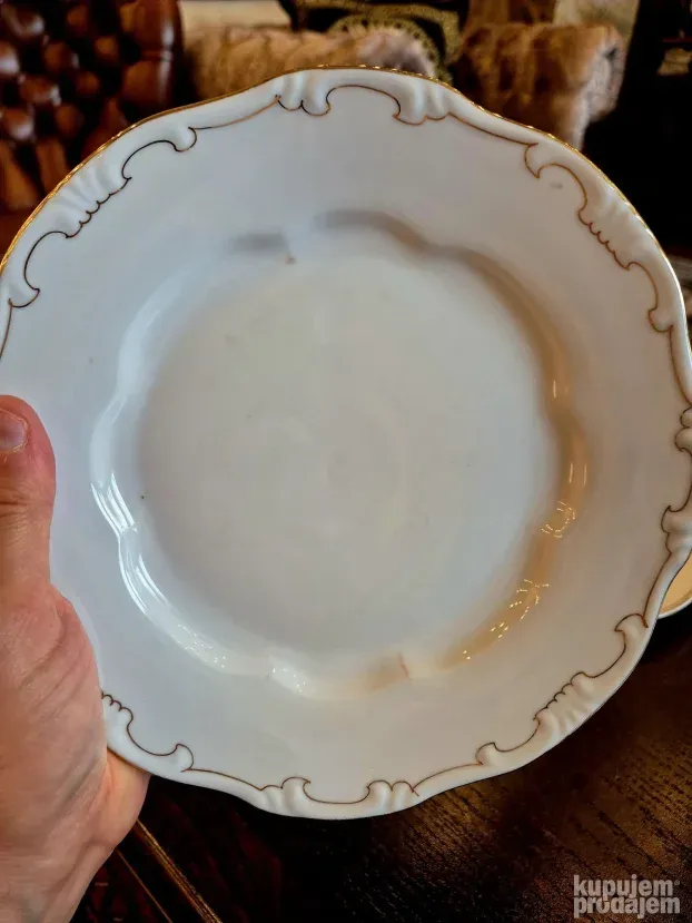 Žolnai 2 porcelan tanjira iz Budimpeste, 24 cm precnik