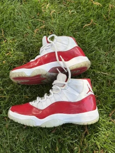Jordan 12 (br. 42)