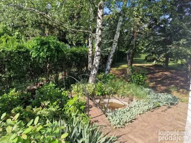 Vikendica , Čortanovci! / 537920