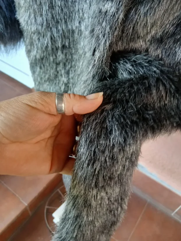 Sivo crna P..S savrsena bunda vel .l.