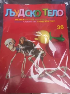 Ljudsko telo br 36