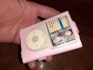 Futrola za Apple Ipod /Belkin/ Novo