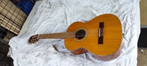 akusticna gitara amada 5453