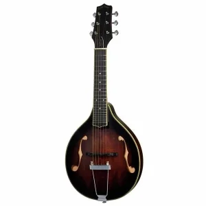Gold Tone A-6 Mando Guitar Ts