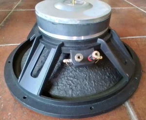 Impakt 12" 300w
