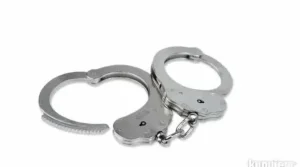 Lisice Celicne 2 kljuca novo