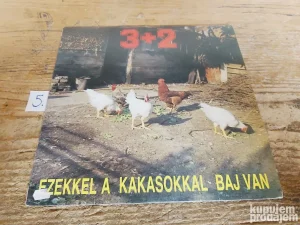 Grupa 3 + 2.  LP.  SSK