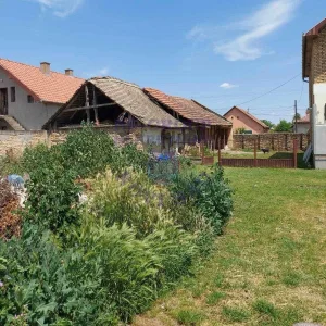 Čurug, 71m2 / Šifra 549055