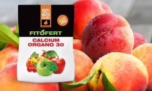 Fitofert CALCIUM ORGANO 30