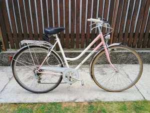 Mondia Swiss Lady