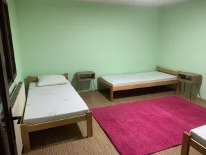 Šandora Petefija, Pančevo, Vojlovica, 2.0 dvosobna, 60 m²