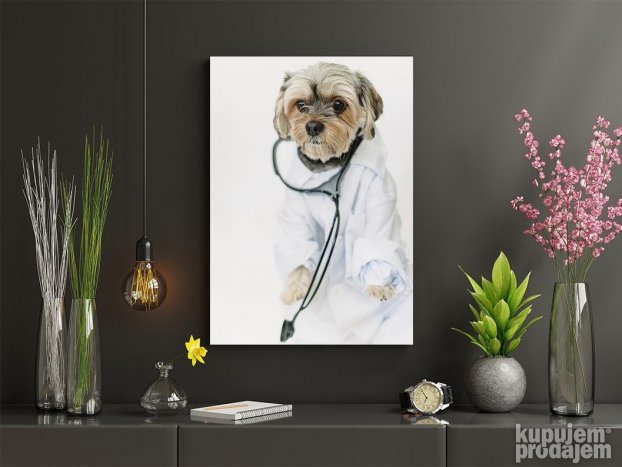 Pas Doktor