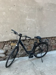 elektricni bicikli