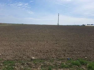 526897 Odlično poljoprivredno zemljište pri izlazu iz Futoga