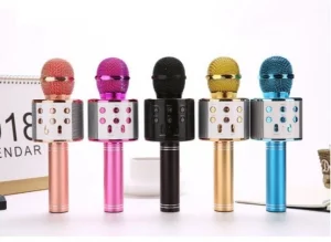 WS 858 Wireless Karaoke Mikrofon