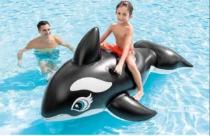 Guma-dusek.Delfin za more
