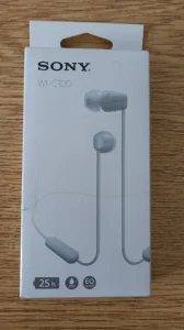 SONY WI-C100 white