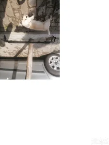 Krovni nosači za zastavu Akcija