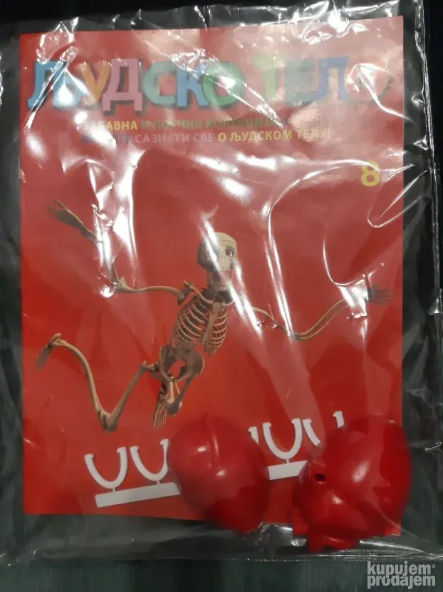 Ljudsko telo- svi brojevi raspolozeni