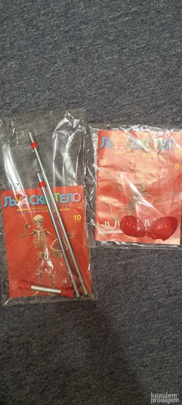 Ljudsko telo- svi brojevi raspolozeni