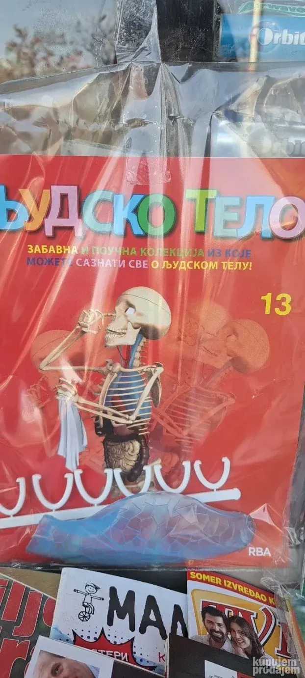 Ljudsko telo- svi brojevi raspolozeni