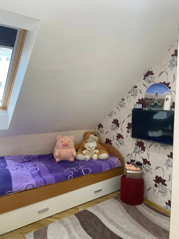 Trg Komenskog, Grbavica, 5+ petosoban, 124 m²