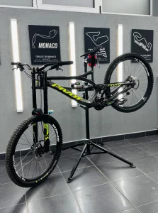Downhill Pivot Phoenix