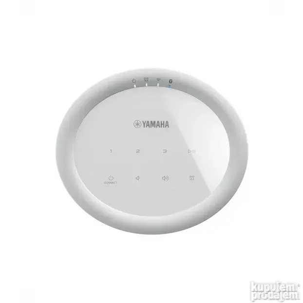 Yamaha MusicCast 20 (WX-021)